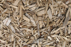 biomass boilers Llangynin